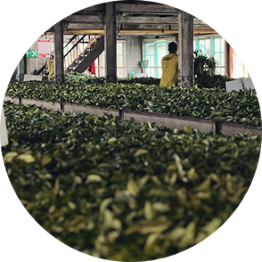 茶葉總倉、樣品倉與寄賣倉庫存管理困難