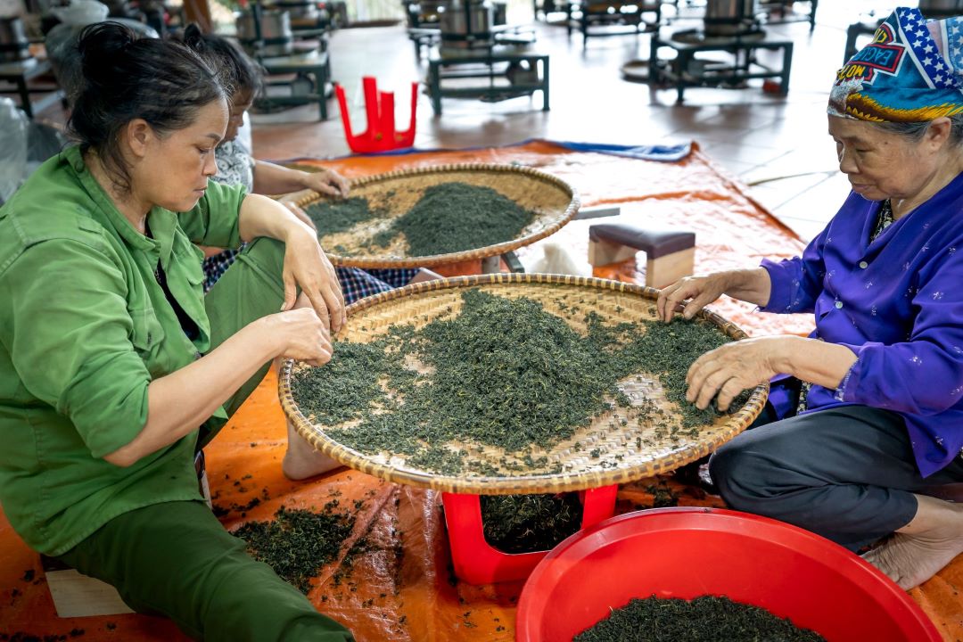 茶葉廠銷貨及應收應付帳款管理